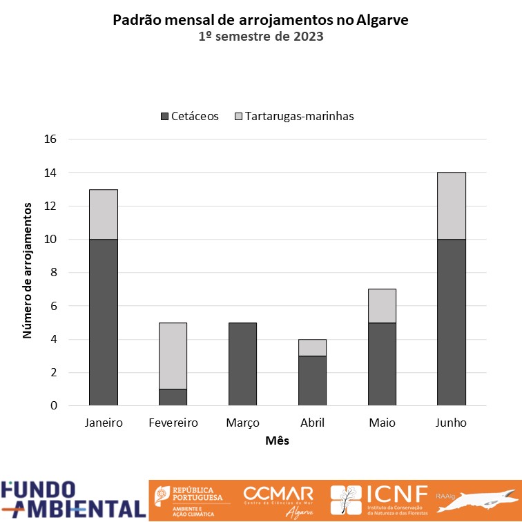 Padrão mensal de arrojamentos 1º semestre 2023