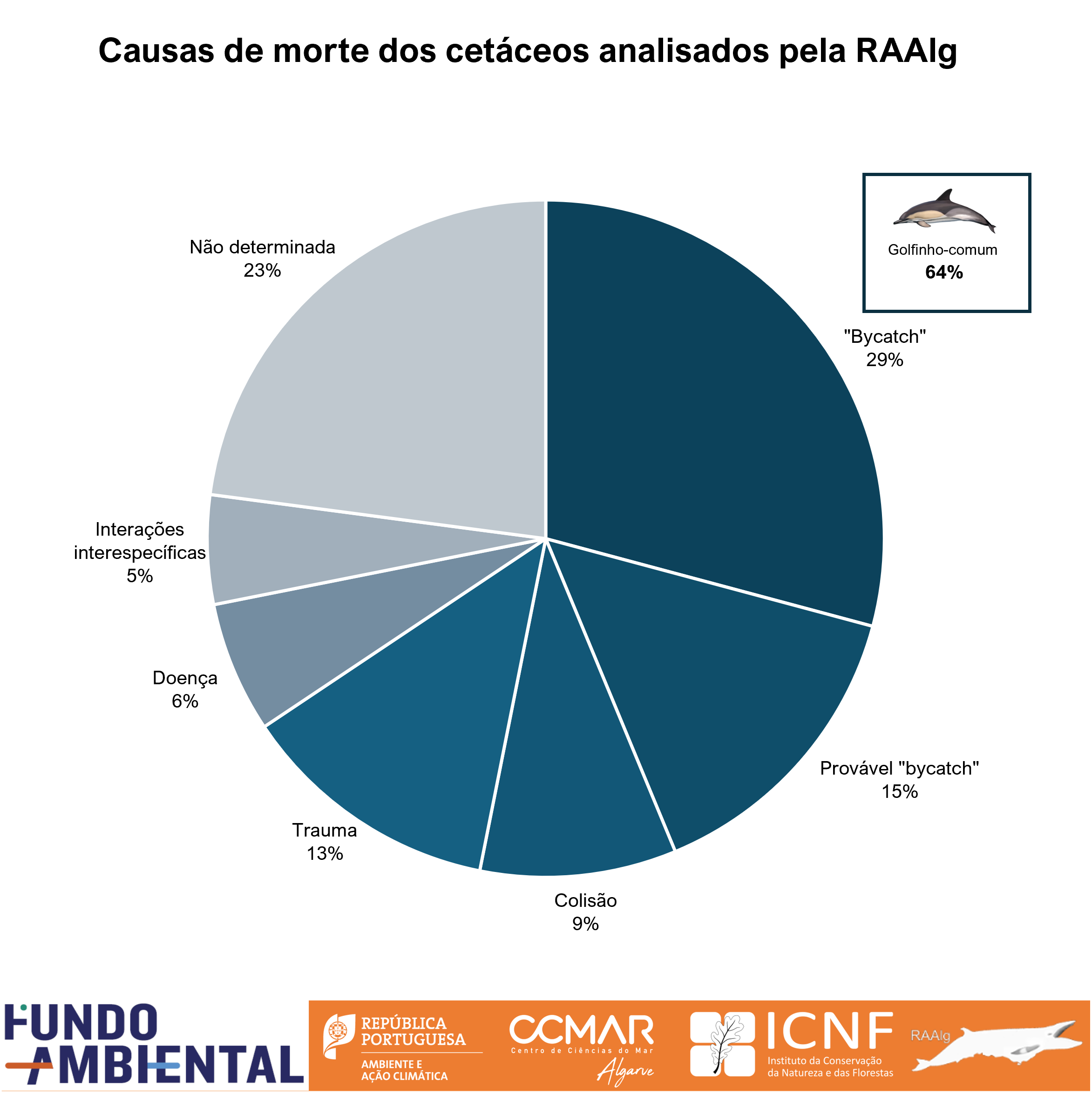 causas de morte dos cetáceos